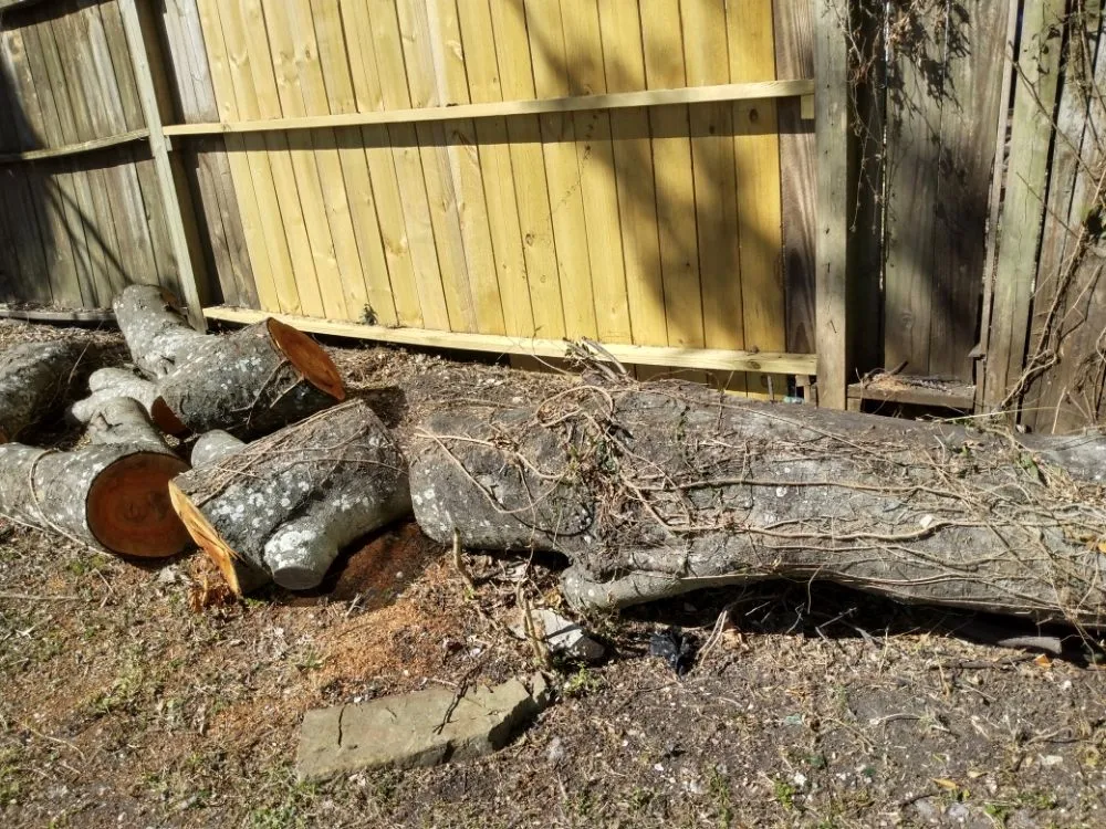 Professional landscaping services in Metairie, LA - Honey Bear Tree Service And Lawn Care