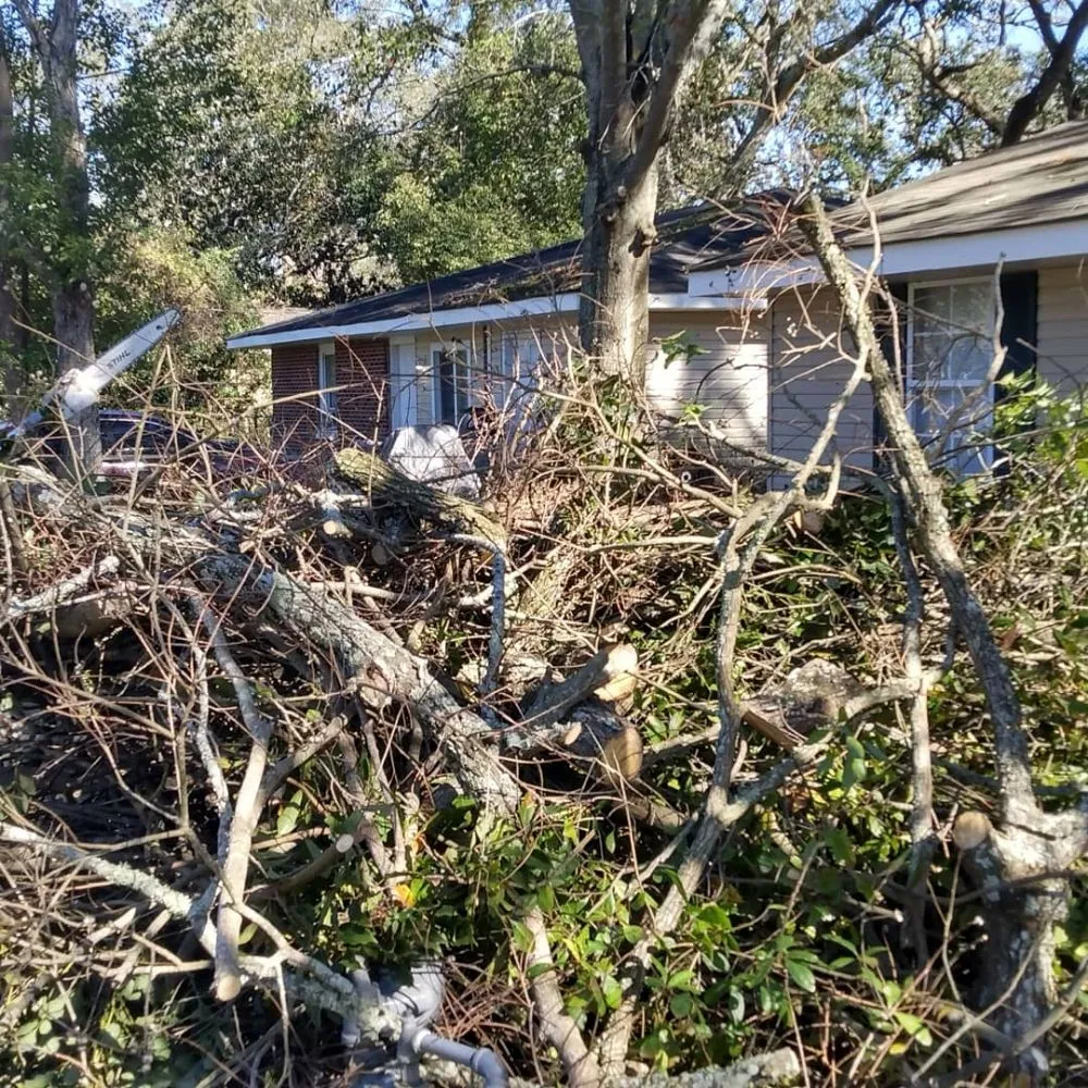 Trusted yard maintenance in Metairie, LA - Honey Bear Tree Service And Lawn Care