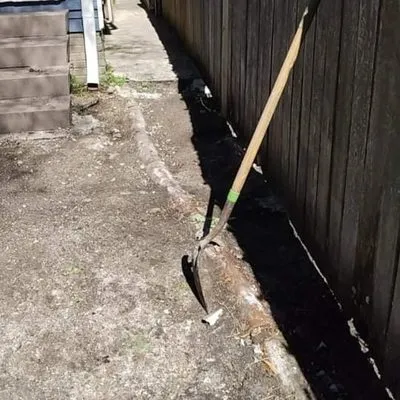 Honey Bear Tree Service And Lawn Care Logo