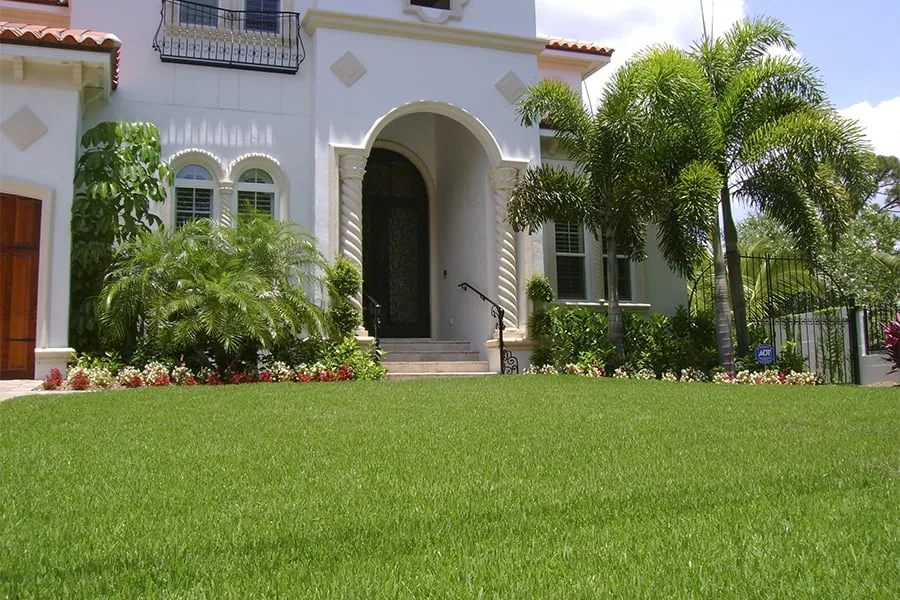 Local lawn mowing service in Vero Beach, FL - Honey Bee Lawn Service