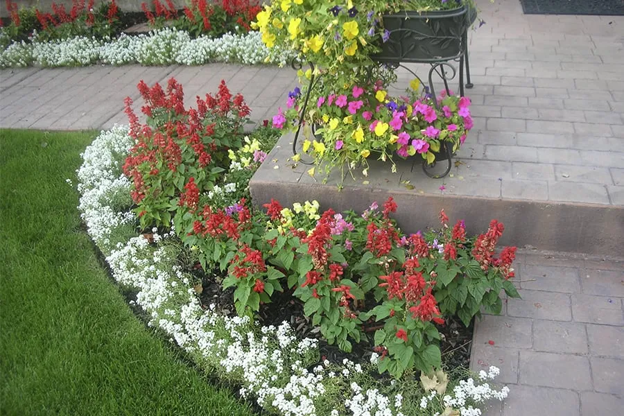 Professional lawn mowing service experts serving Vero Beach, FL - Honey Bee Lawn Service