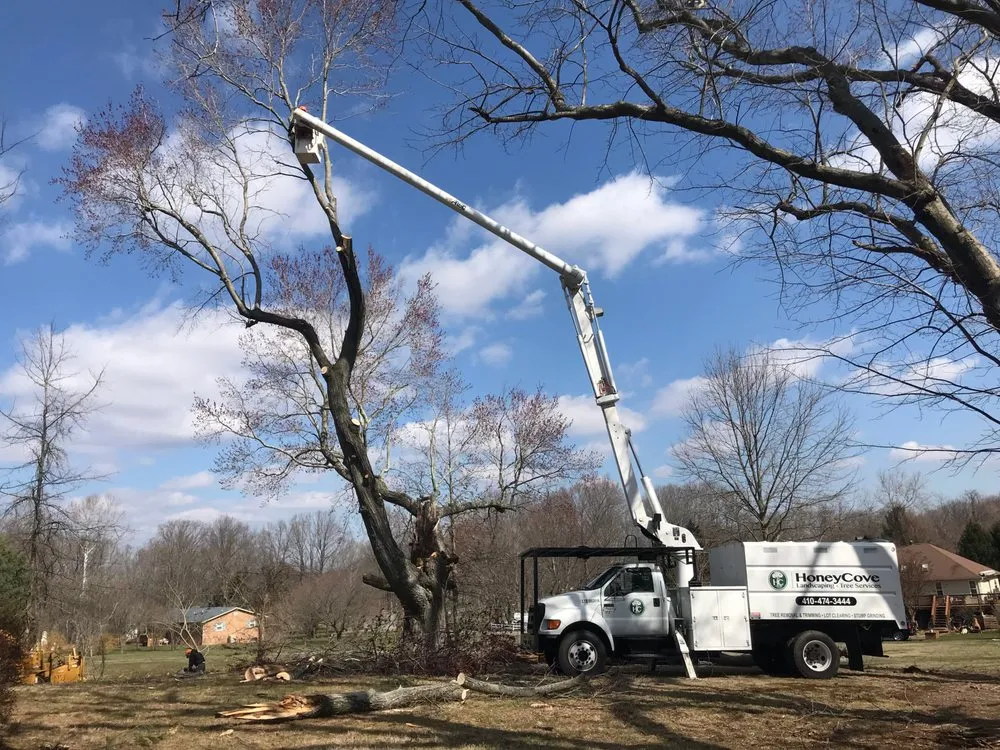 Reliable landscape installation in Prince Frederick, MD by Honey Cove Landscaping and Tree Services