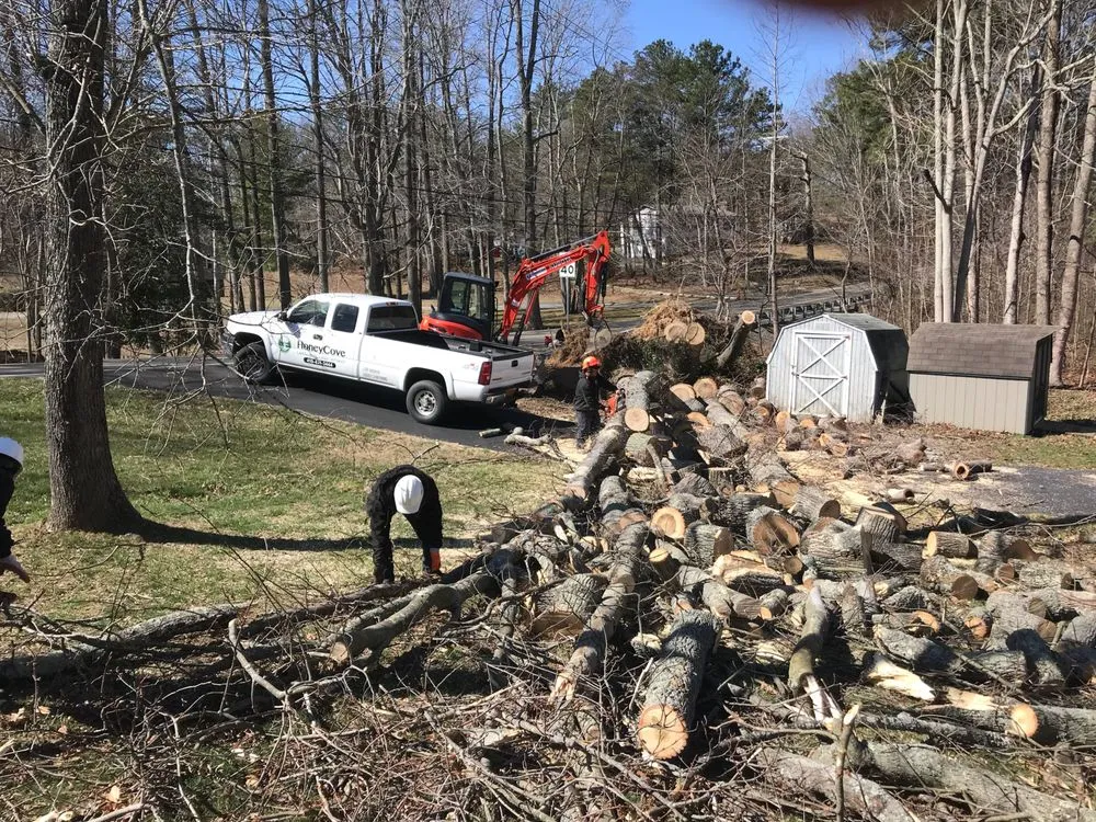 Professional outdoor landscaping in Prince Frederick, MD by Honey Cove Landscaping and Tree Services