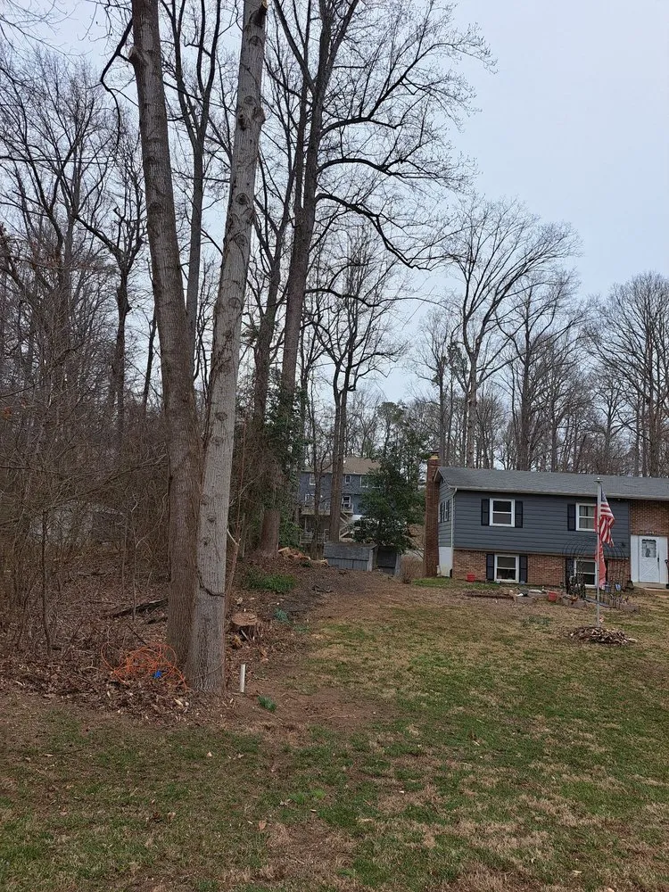 Affordable yard cleanup service in Prince Frederick, MD - Honey Cove Landscaping and Tree Services