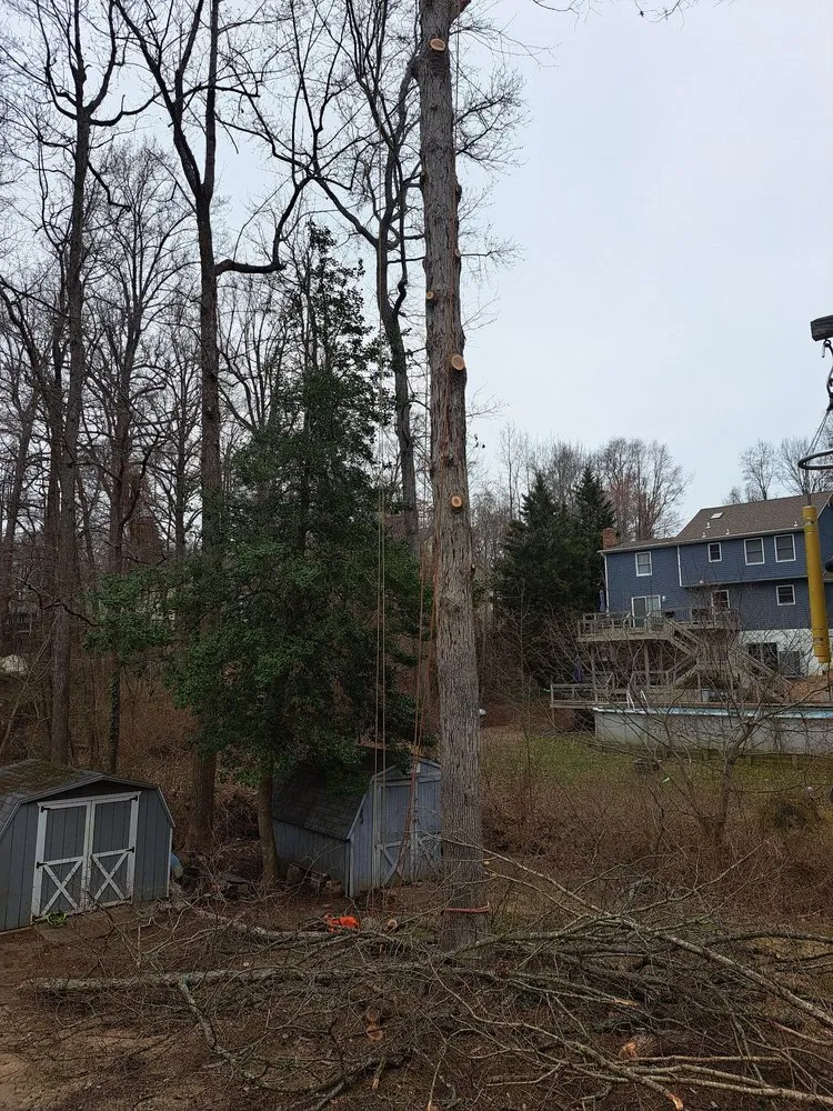 Local landscape installation in Prince Frederick, MD - Honey Cove Landscaping and Tree Services