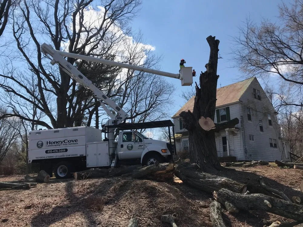 Top-rated yard maintenance for outdoor upgrades in Prince Frederick, MD by Honey Cove Landscaping and Tree Services