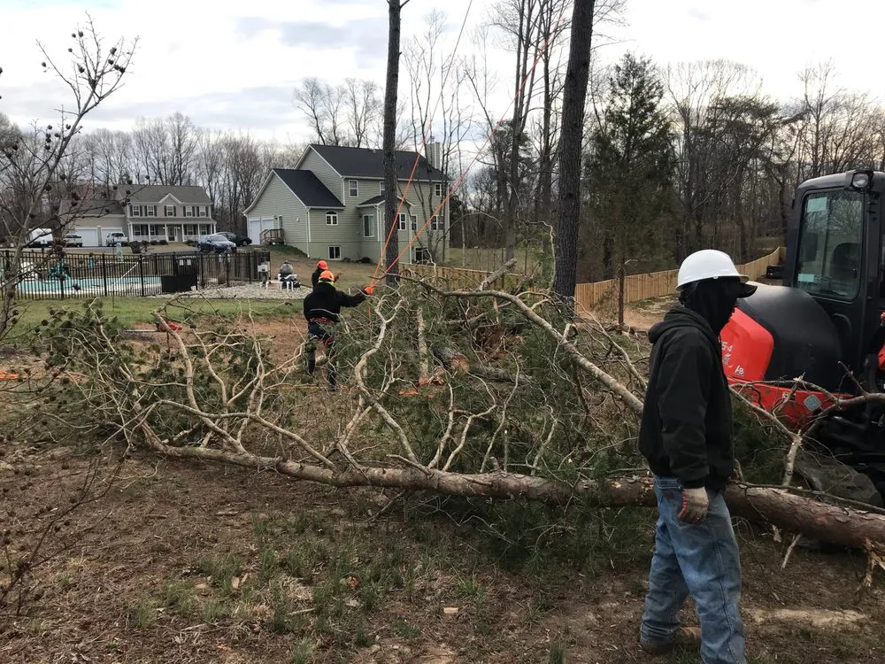 Reliable lawn care service with custom design across Prince Frederick, MD - Honey Cove Landscaping and Tree Services