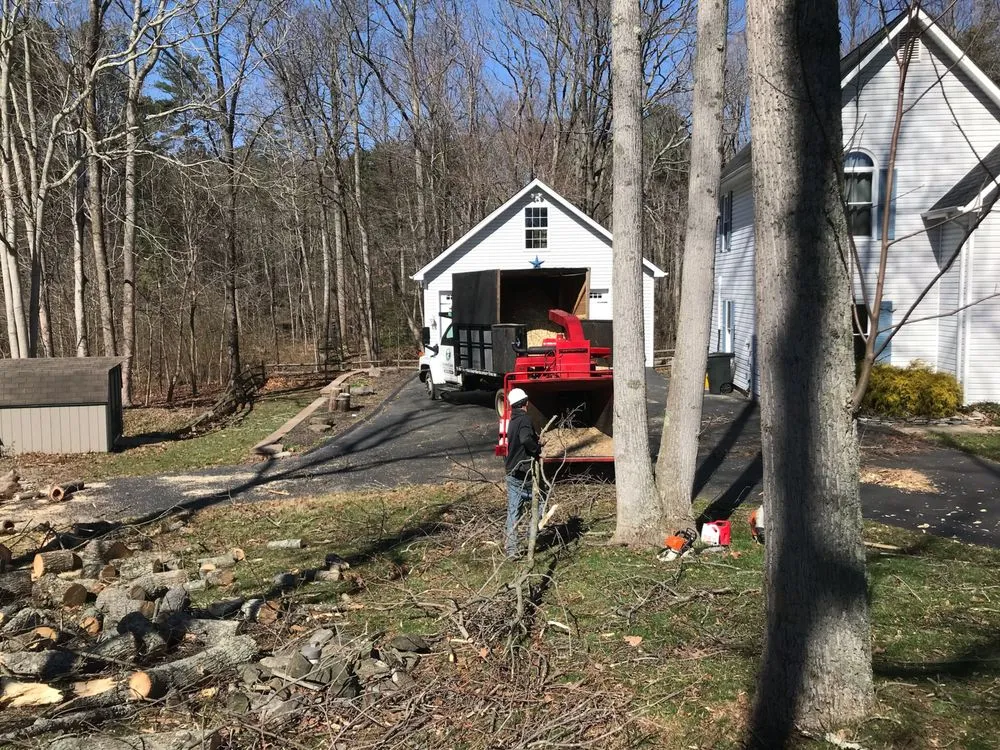 Affordable lawn care service for outdoor upgrades in Prince Frederick, MD by Honey Cove Landscaping and Tree Services