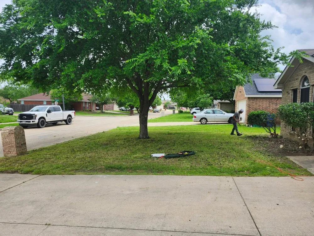 Custom landscape installation in Decatur, TX - Honey Dew