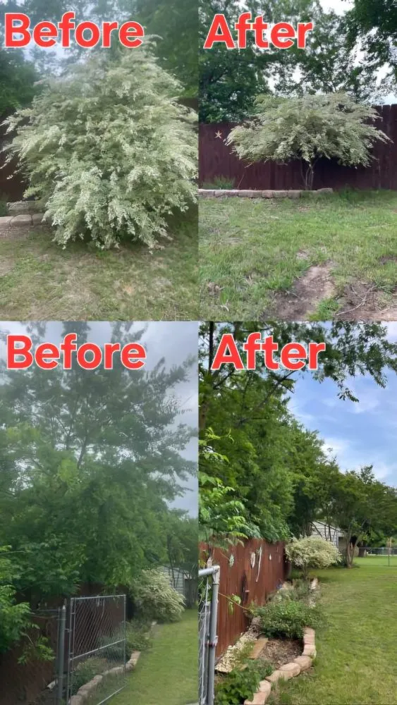 Top-rated yard maintenance experts serving Decatur, TX - Honey Dew