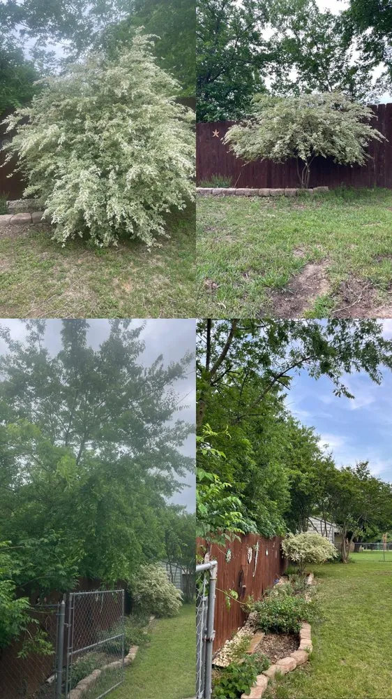 Affordable lawn mowing service in Decatur, TX - Honey Dew