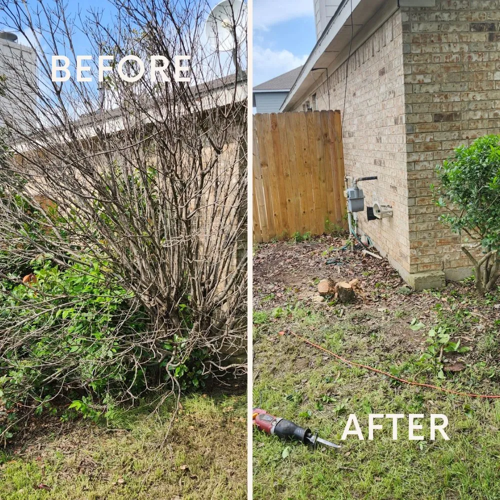 Reliable landscape design in Decatur, TX by Honey Dew