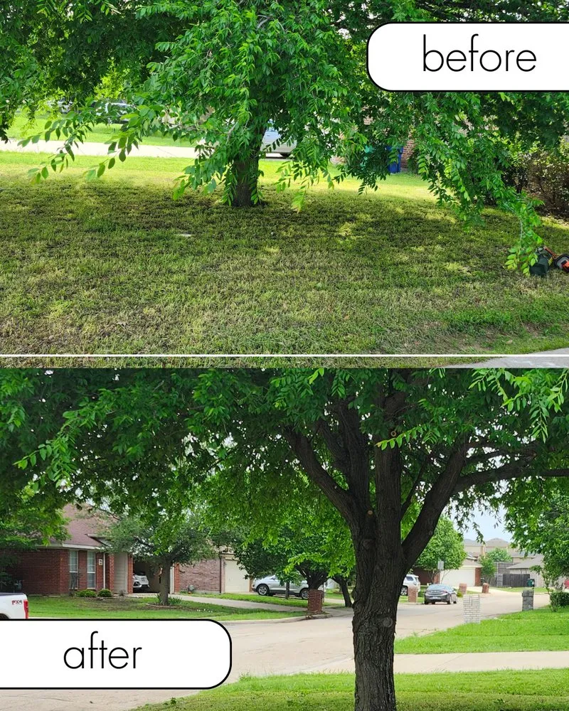 Local outdoor landscaping in Decatur, TX - Honey Dew