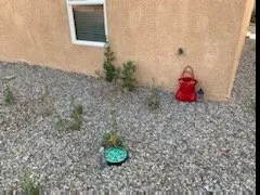 Top-rated residential landscaping near you across Bernalillo, NM - Honey Do