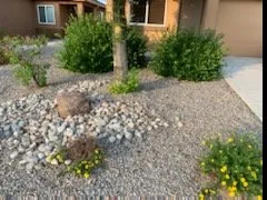 Expert yard maintenance near you across Bernalillo, NM - Honey Do