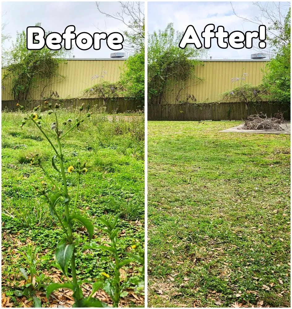 Affordable yard cleanup service in Houston, TX by Honey Do Home & Lawn