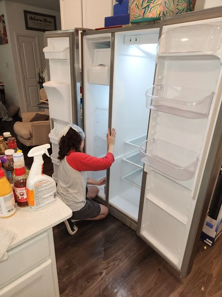 Affordable lawn care service in Houston, TX by Honey Do Home & Lawn