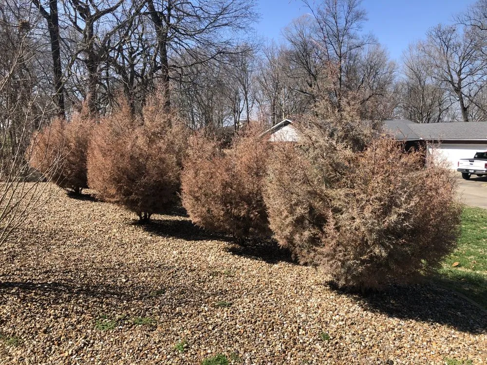 Reliable outdoor landscaping near you in Chaffee, MO by Honey-Do Krew