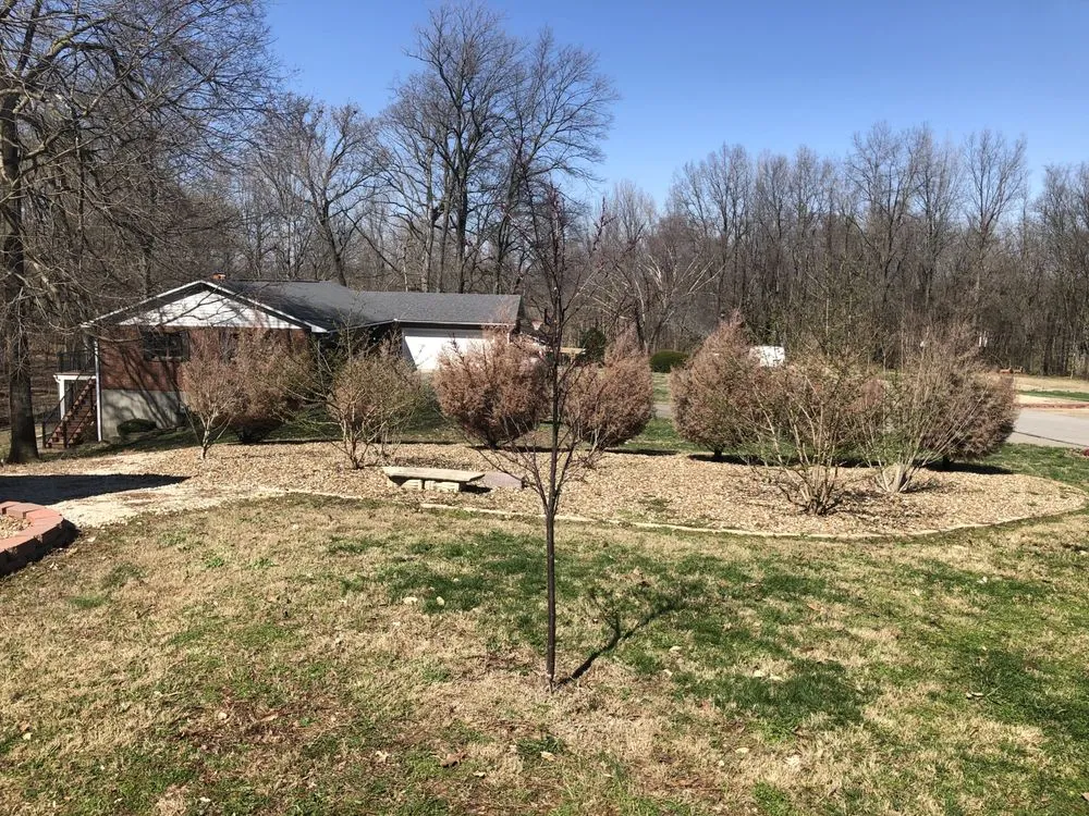 Custom yard cleanup service for year-round maintenance across Chaffee, MO - Honey-Do Krew