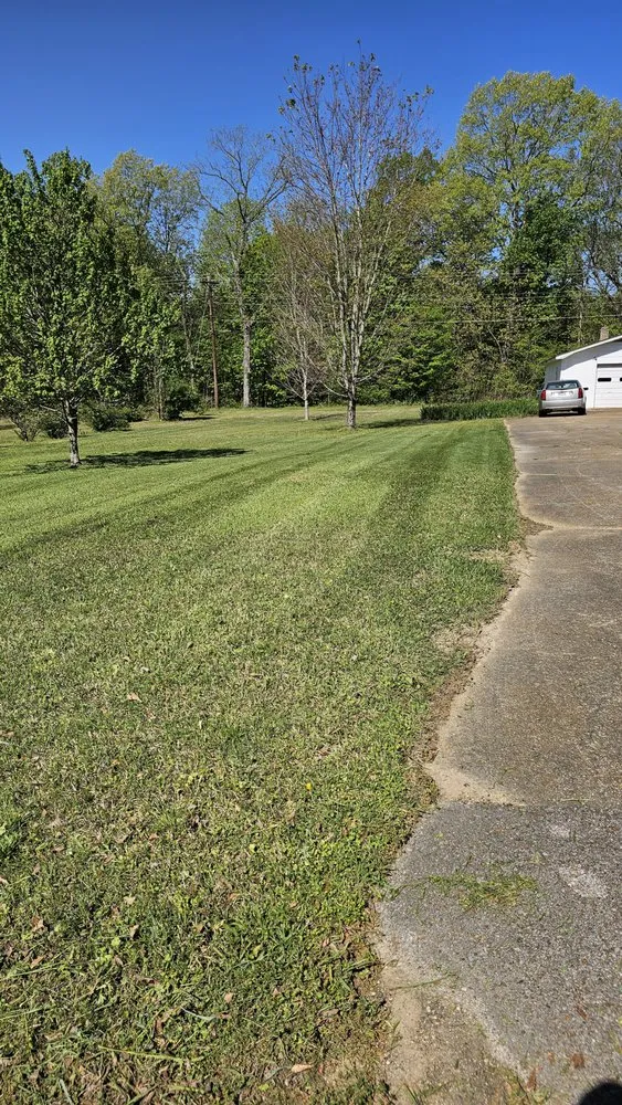 Local landscape design in Glen, MS by Honey Do Lawncare And Landscaping