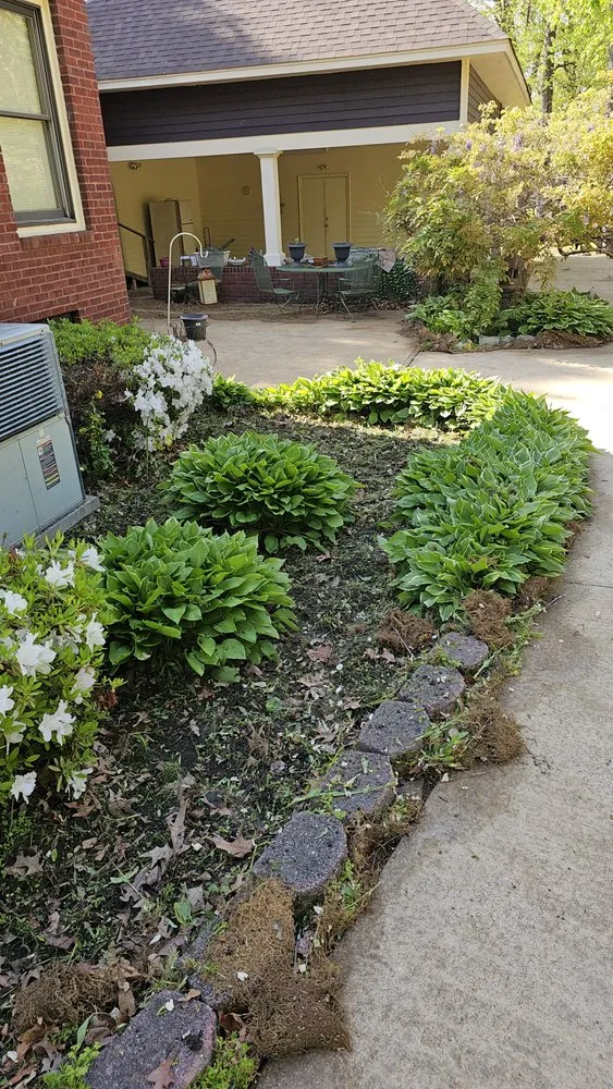 Reliable lawn mowing service in Glen, MS - Honey Do Lawncare And Landscaping