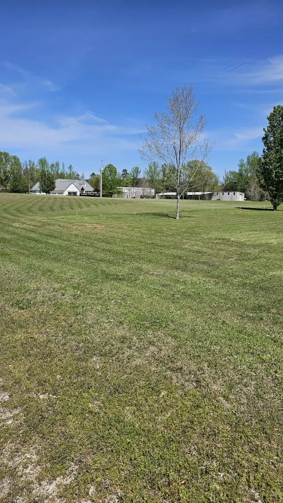 Custom outdoor landscaping for beautiful yards in Glen, MS by Honey Do Lawncare And Landscaping