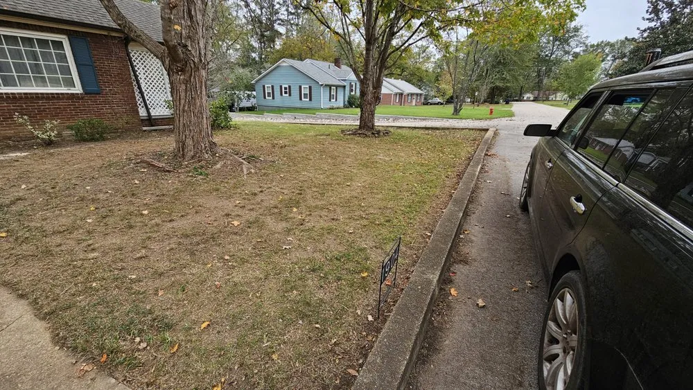 Reliable residential landscaping in Glen, MS by Honey Do Lawncare And Landscaping