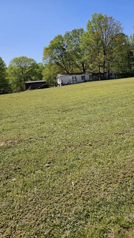 Trusted landscaping services in Glen, MS by Honey Do Lawncare And Landscaping