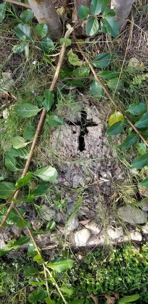 Top-rated landscaping services in Harker Heights, TX by Honey Do List Helper