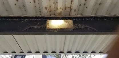 Reliable yard cleanup service in Harker Heights, TX by Honey Do List Helper