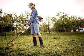 Custom yard maintenance for beautiful yards across Oviedo, FL - Honey Do List Service