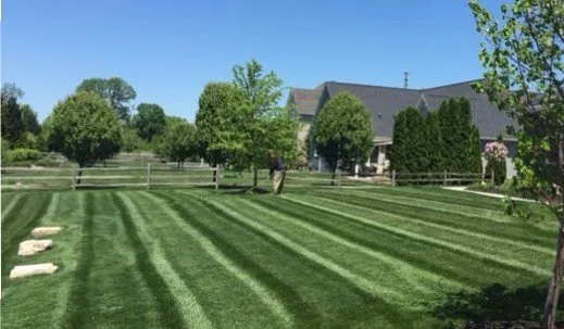 Affordable lawn care service experts serving Holland, OH - Honey Do Property Management