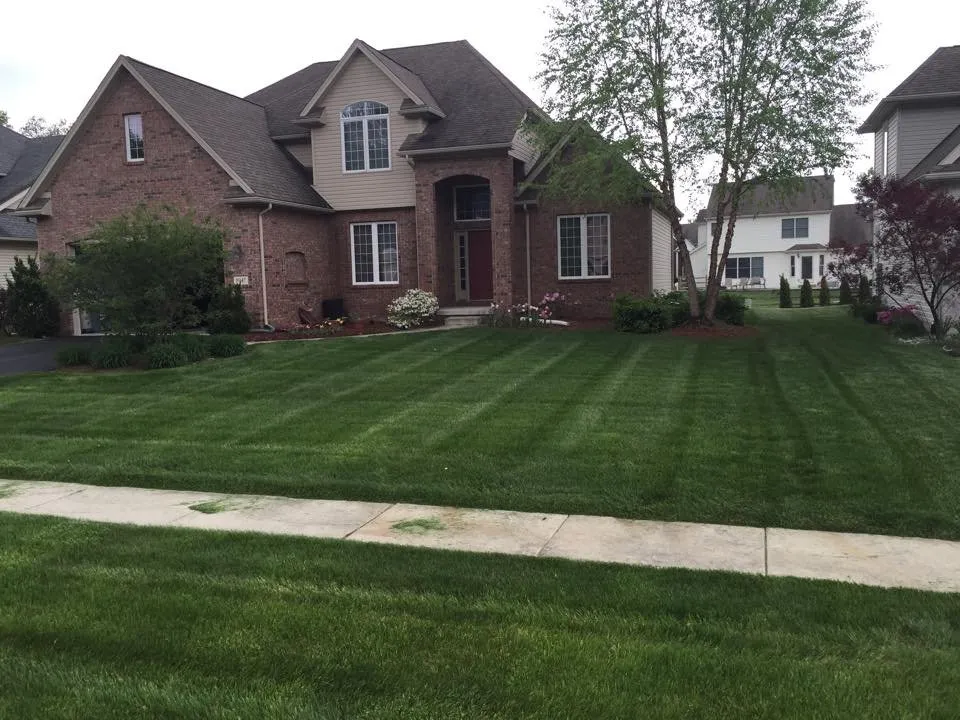 Expert yard maintenance near you across Holland, OH - Honey Do Property Management