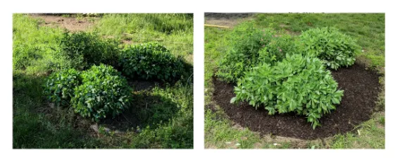 Trusted landscape installation with custom design across Severn, MD - Honey Do Service Crew