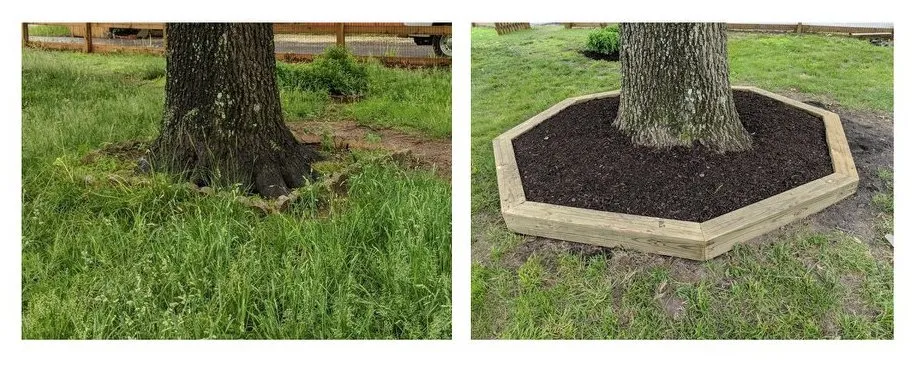 Professional outdoor landscaping in Severn, MD - Honey Do Service Crew