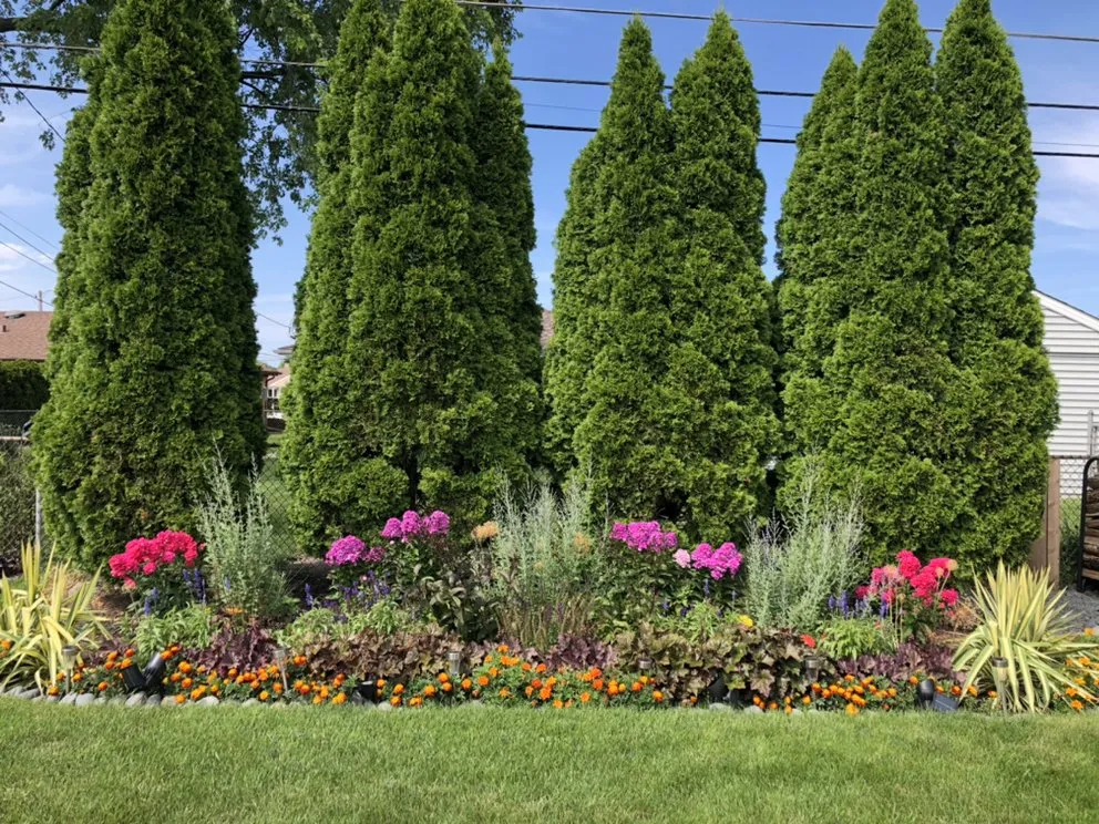 Reliable lawn mowing service in Des Plaines, IL - Honey Do This