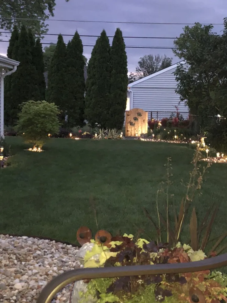 Top-rated yard cleanup service near you in Des Plaines, IL by Honey Do This