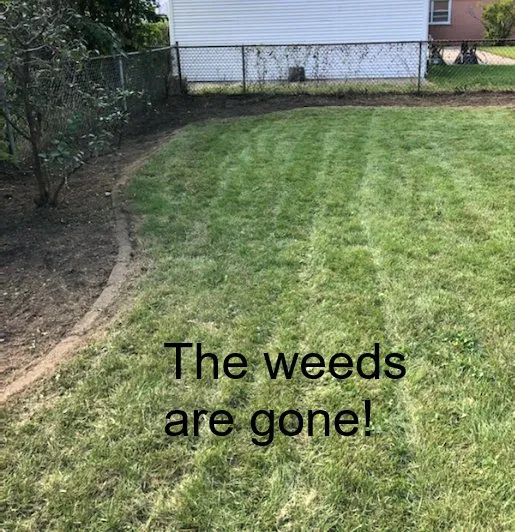 Top-rated landscape installation in Des Plaines, IL by Honey Do This