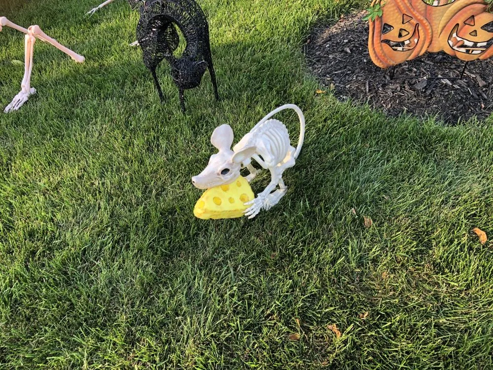 Top-rated yard maintenance with custom design across Des Plaines, IL - Honey Do This