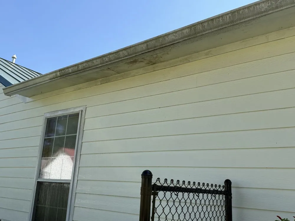 Trusted yard cleanup service experts serving Vivian, LA - Honey Doos