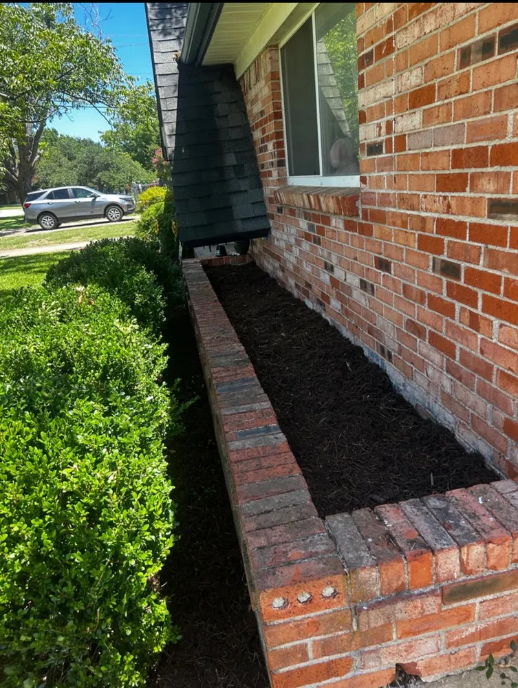 Trusted yard cleanup service for residential properties across College Station, TX - Honey Hustle