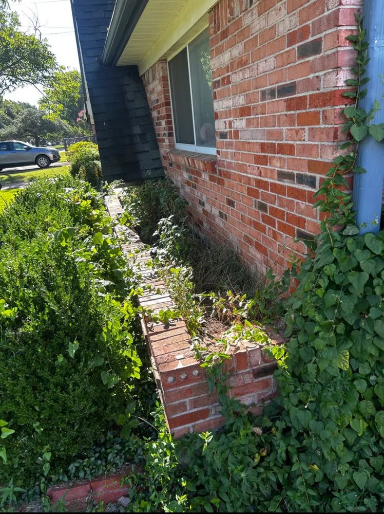 Top-rated lawn care service experts serving College Station, TX - Honey Hustle