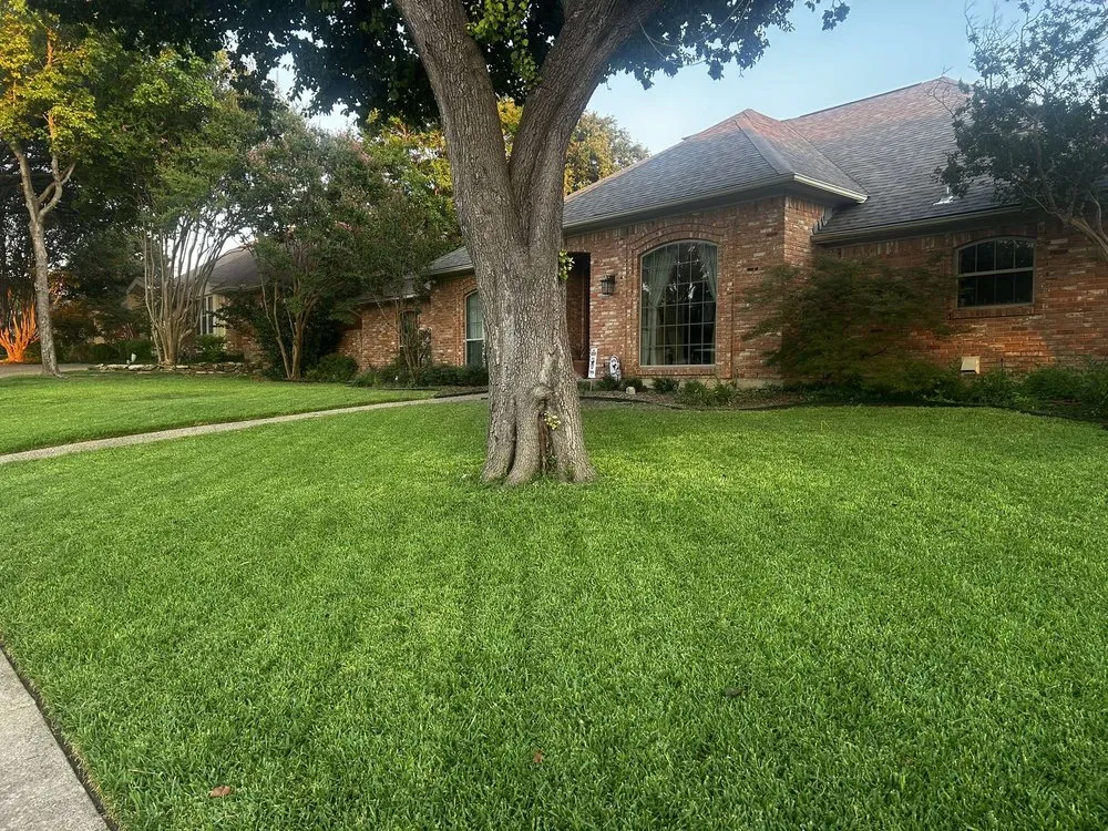 Custom yard cleanup service experts serving College Station, TX - Honey Hustle