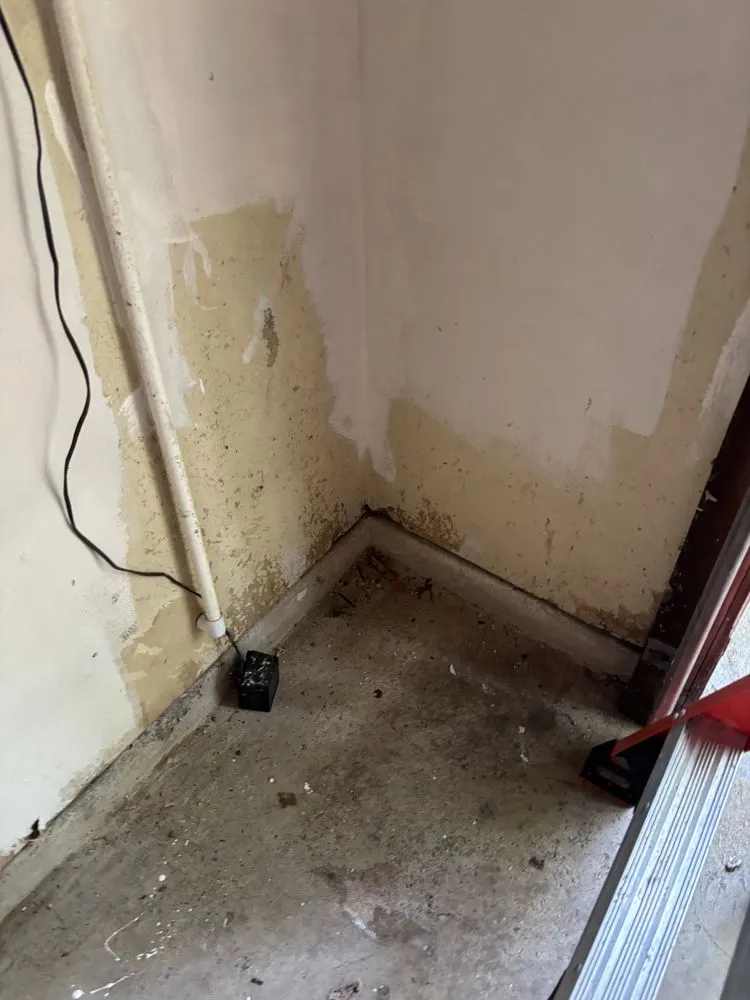 Local yard cleanup service in College Station, TX by Honey Hustle