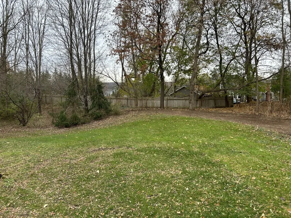 Custom yard cleanup service experts serving Syracuse, NY - Honeybee Landscapes & Hardscapes