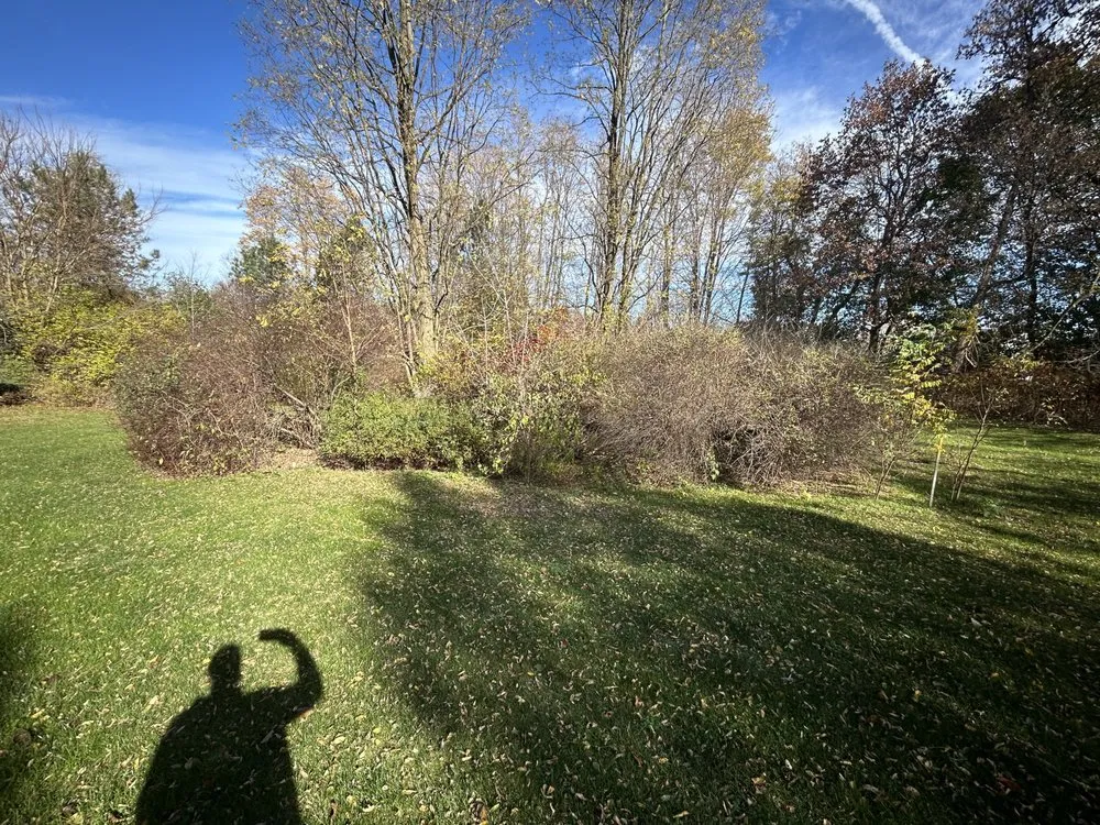 Professional yard cleanup service in Syracuse, NY by Honeybee Landscapes & Hardscapes