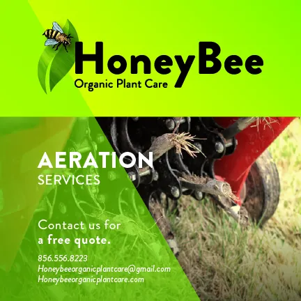 Expert lawn care service in Carneys Point Township, NJ - HoneyBee Organic Plant Care
