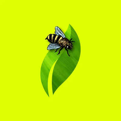 HoneyBee Organic Plant Care Logo