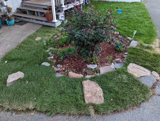 Honeybees Estate Services Logo