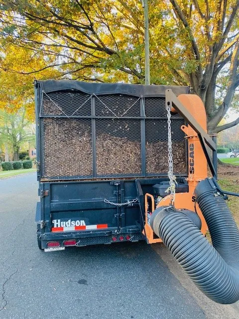 Local landscaping services experts serving Wingate, NC - Honeycutt Landscaping